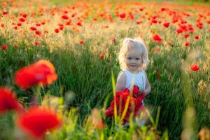 tkis images 26