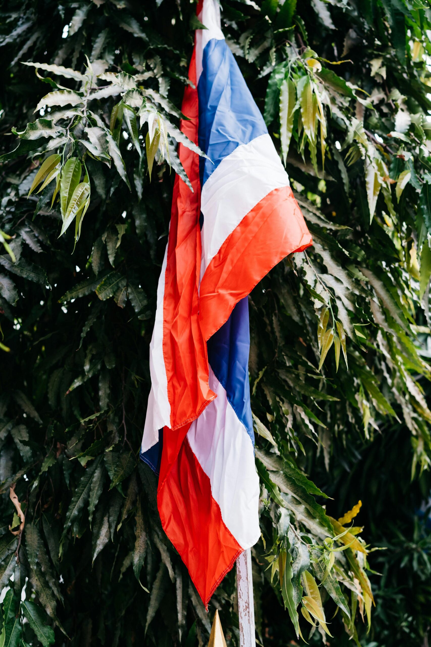 British International Schools Bangkok 1 British International Schools Bangkok
